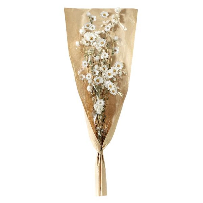 Willow Crossley White Daisy Bundle, 19.5″