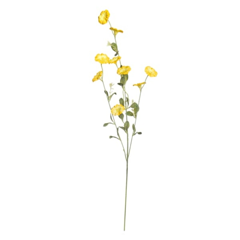 Yellow Morning Glory Spray, 34″