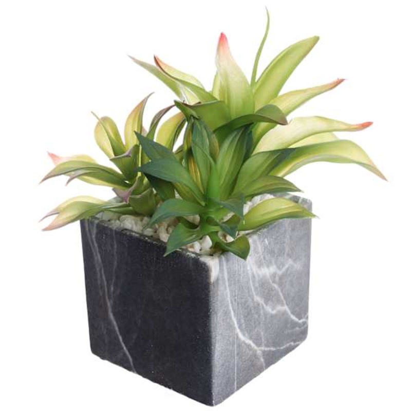 Agave Plant with Cement Planter, 9″