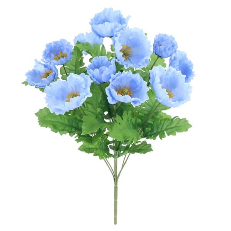Blue Poppy Bush, 18″