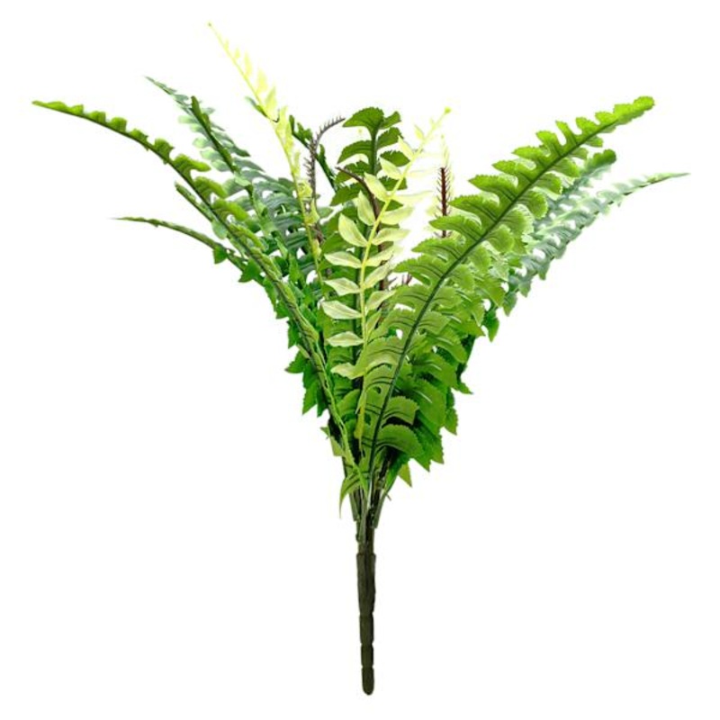 Boston Fern Bush, 19″