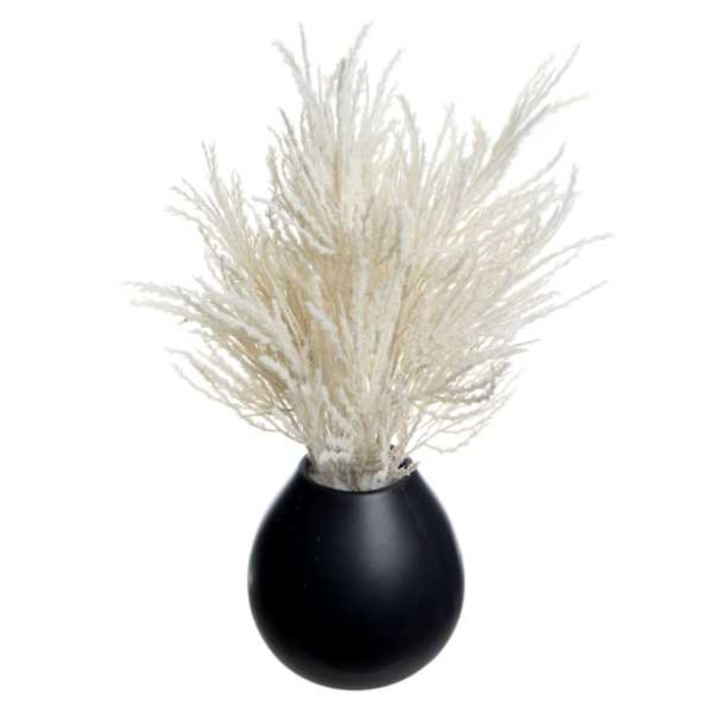 Crosby St. White Pampas Grass in Black Pot, 16″