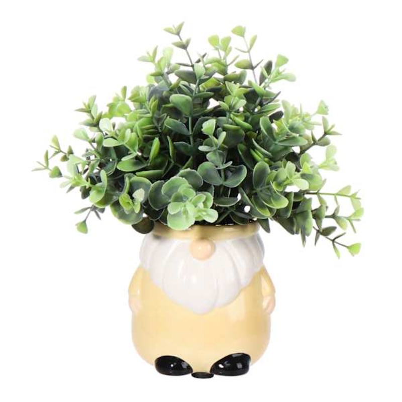 Eucalyptus in Yellow Gnome Pot