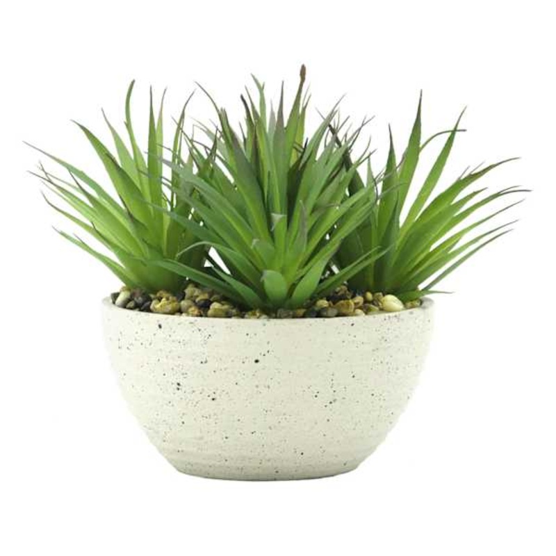 Found & Fable Dracaena Plant in Cement Vessel, 6″