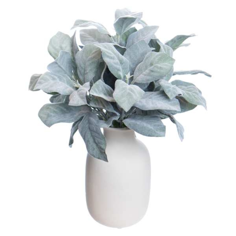 Lamb’s Ear in Ceramic Pot, 12″