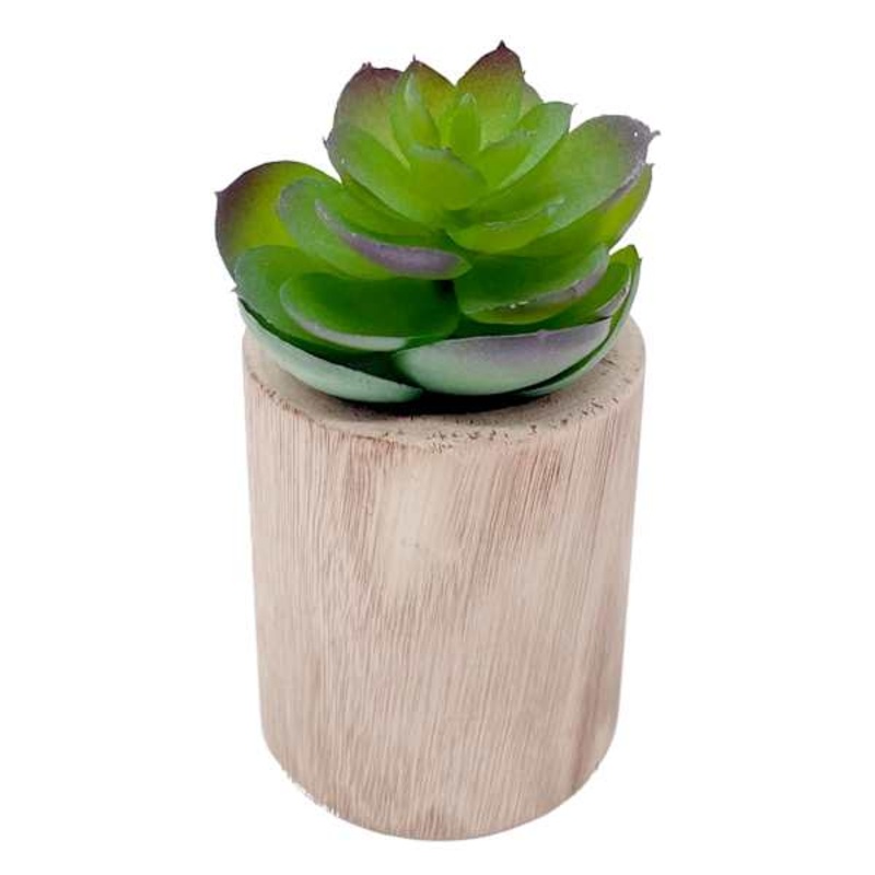 Lotus with Brown Wooden Planter, 4.5″