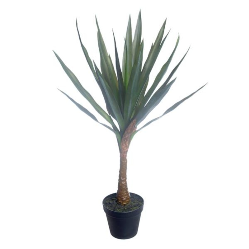 Outdoor Rated Yucca in Plastic Pot, 25″