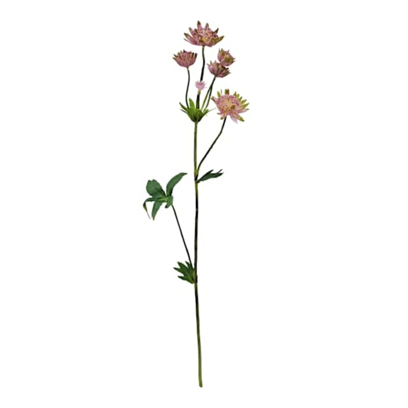 Pink Astrantia Spray, 22″