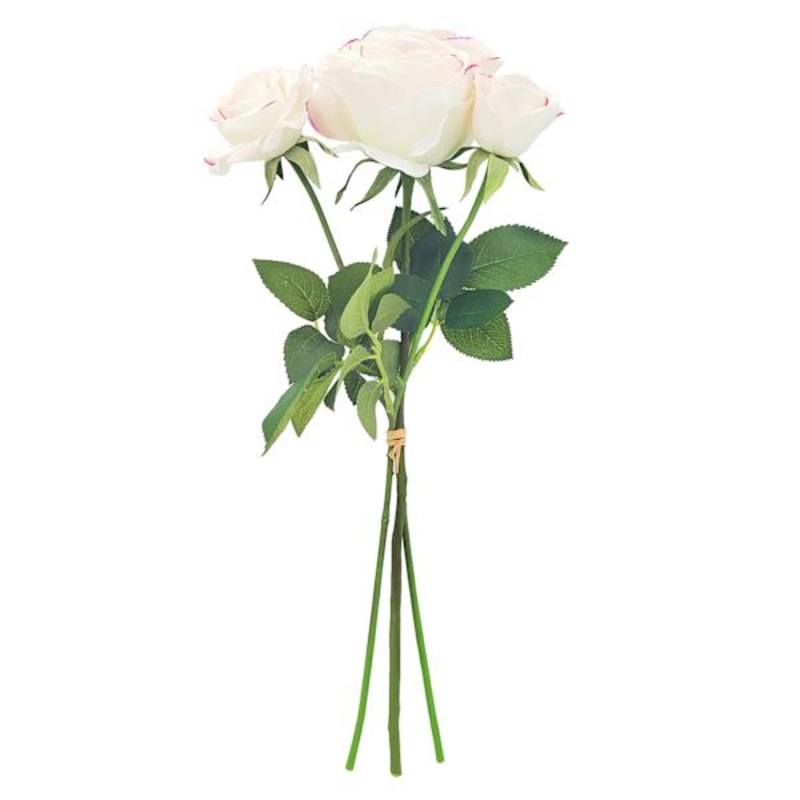 Pink Real Feel Rose Bush, 16″