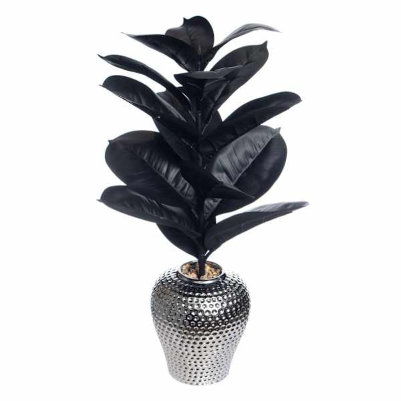 Rubber Plant in Metallic Pot, 23″