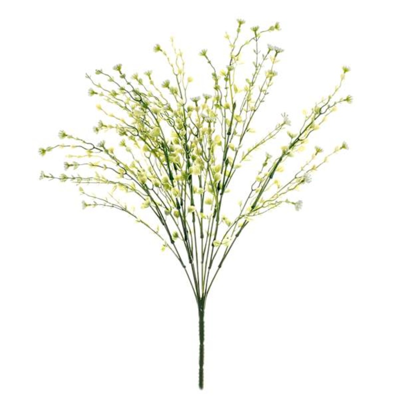White Berry Bush, 22″