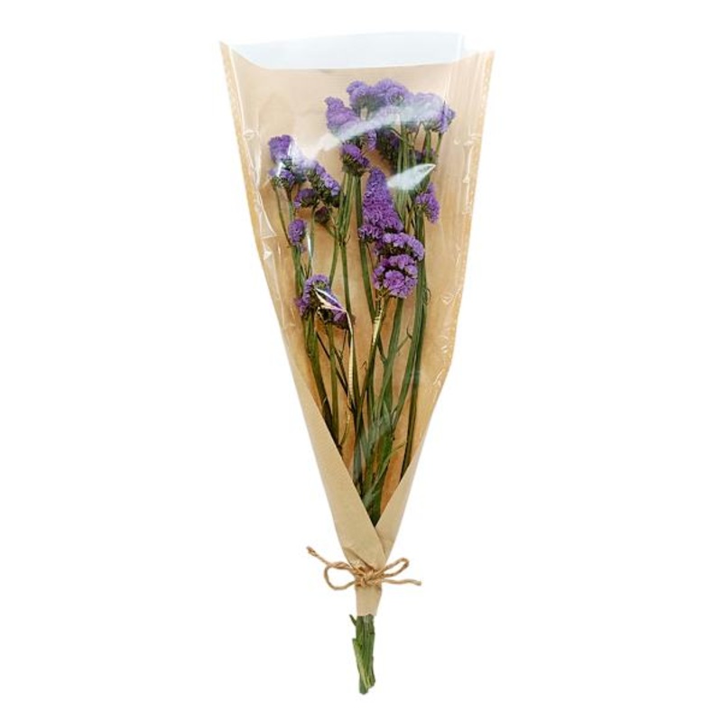 Willow Crossley Dried Statice Bundle, 20″