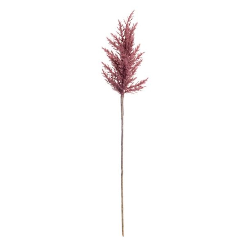 Dark Pink Pampas Grass Stem, 36″
