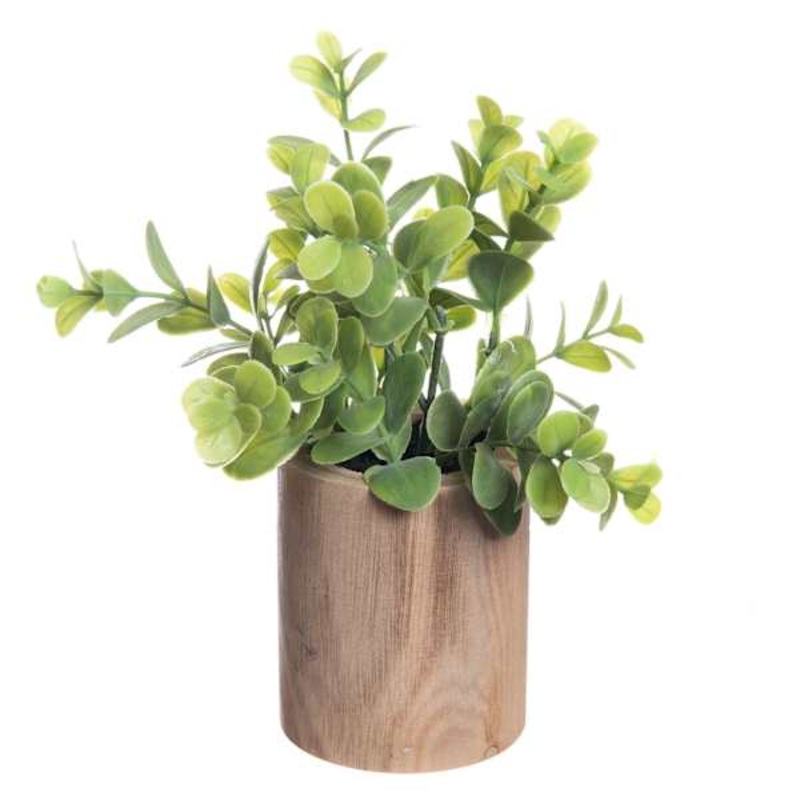Eucalyptus Bundle in Wooden Pot, 5×8