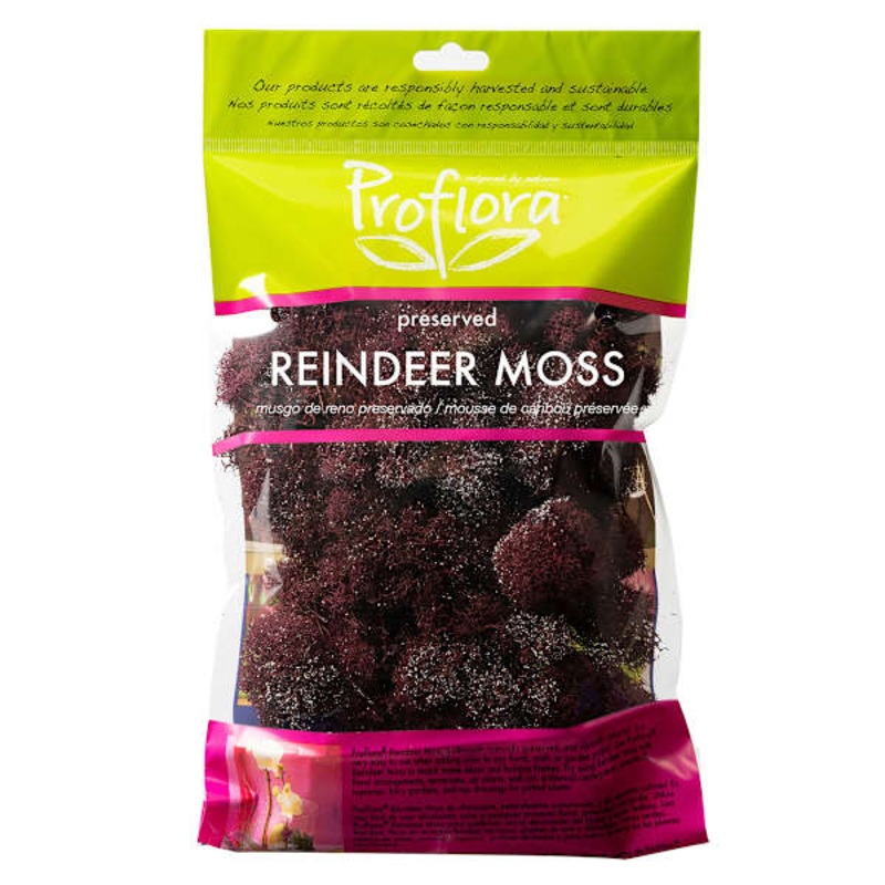 Glittered Wine Reindeer Moss
