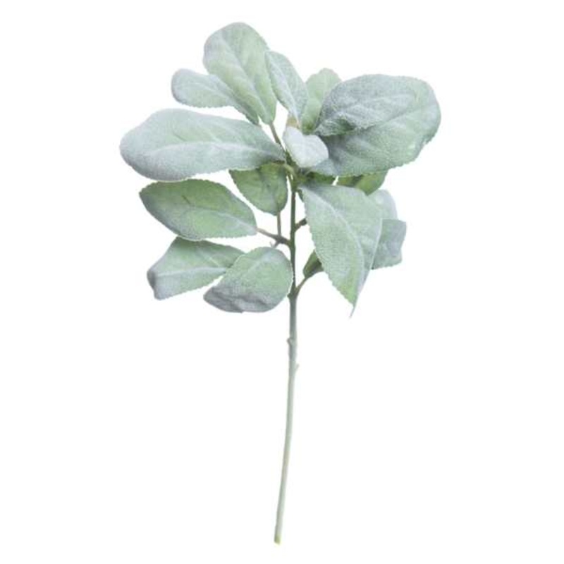 Lambs Ear Pick, 14″