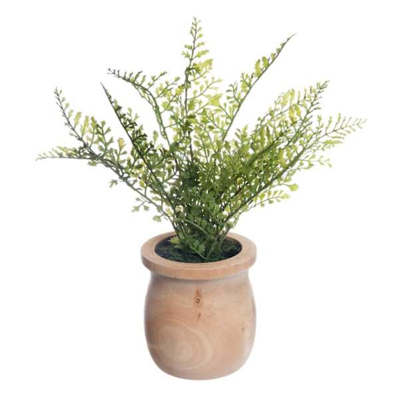 Natural Maidenhair Spray in Wooden Pot, 11″