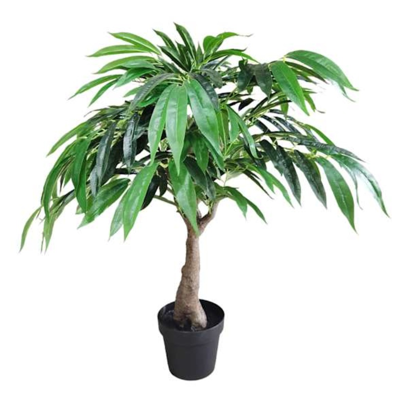 Potted Willow Tree, 3′
