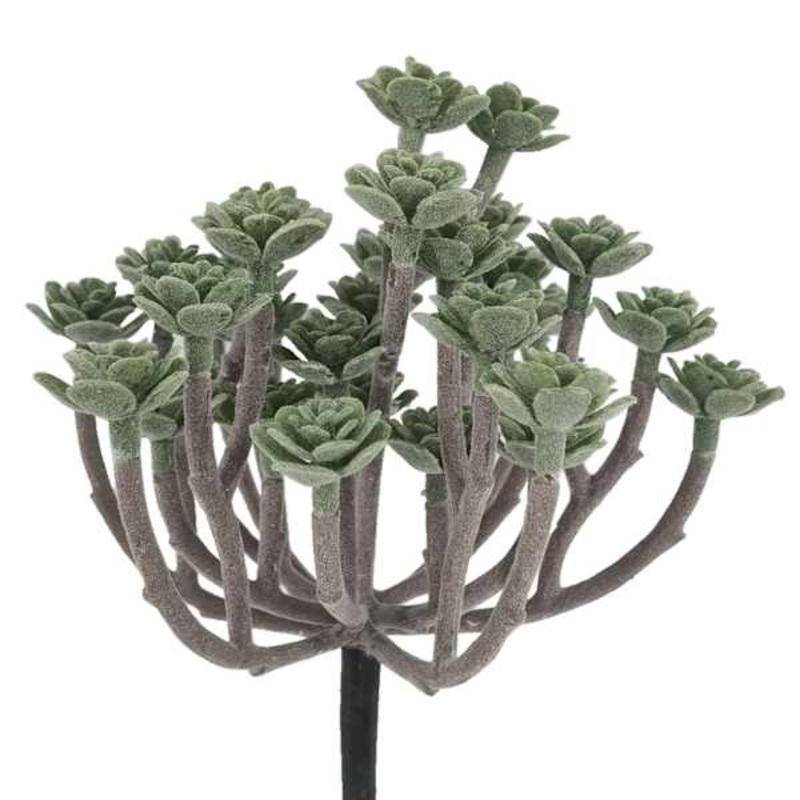 Succulent Pick, 8″