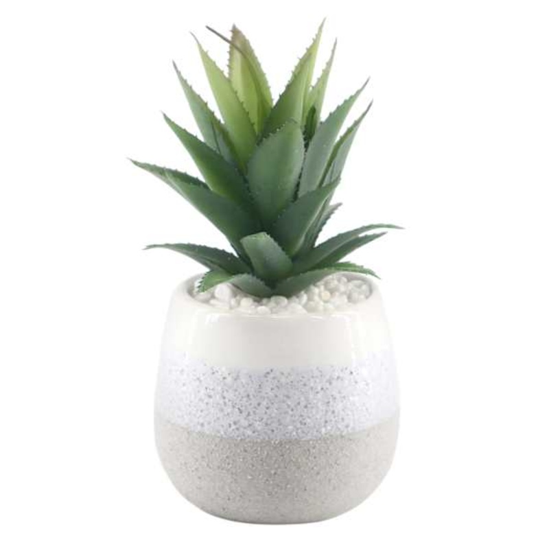 Succulent with Ceramic Planter, 7″
