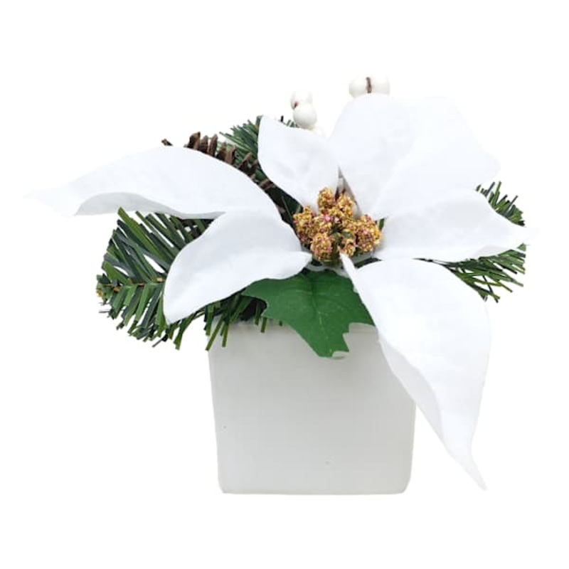 White Poinsettia Arrangement in Ceramic Pot