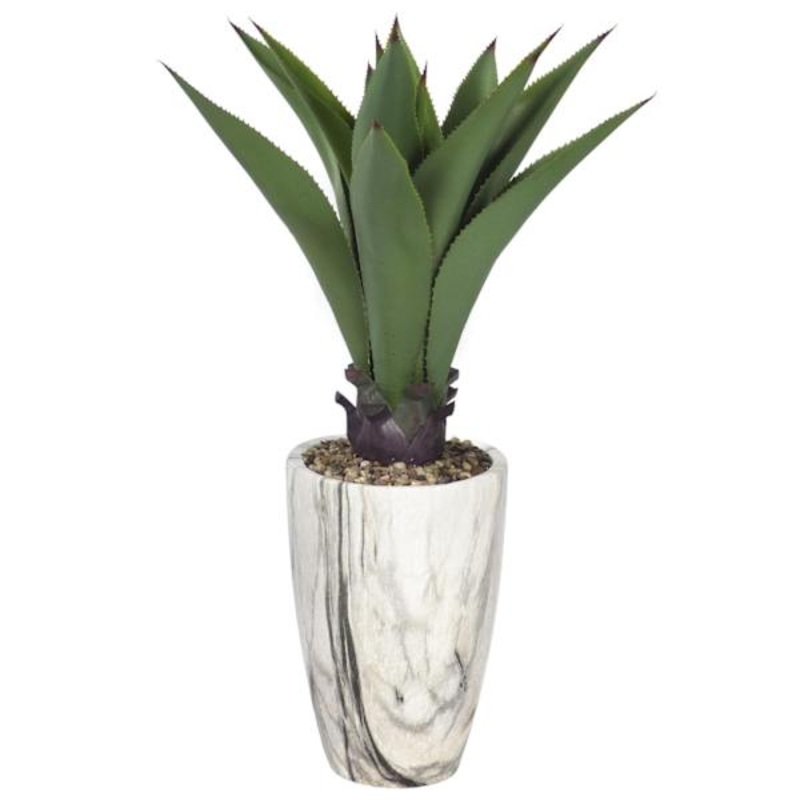 Agave with Marbled Planter, 36″