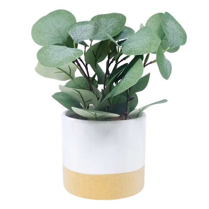 Eucalyptus Arrangement in Two-Toned Pot, 17″