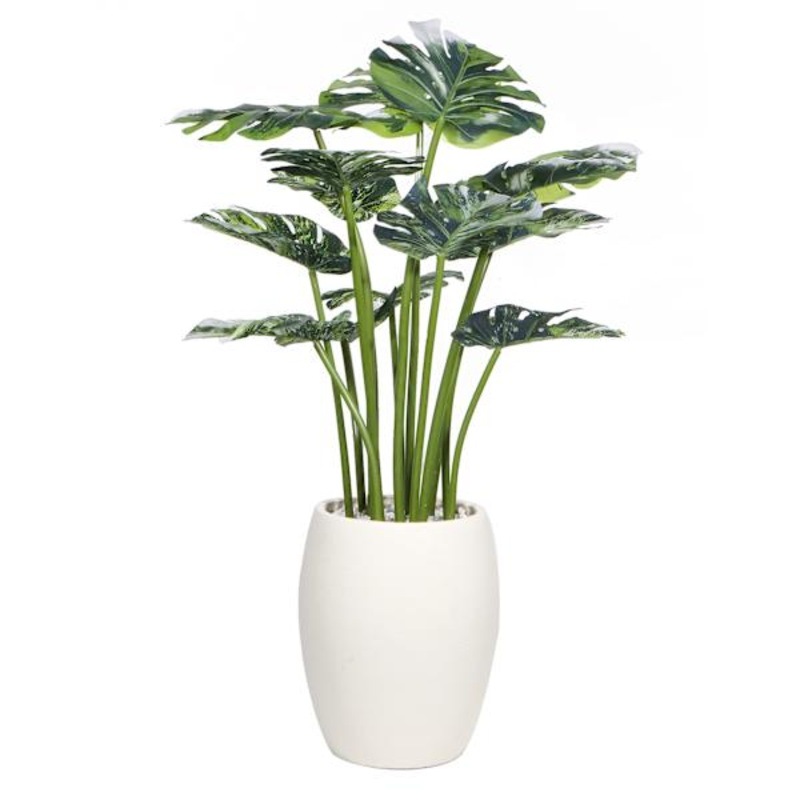 Found & Fable Monstera Plant in Cement Pot, 37.5″