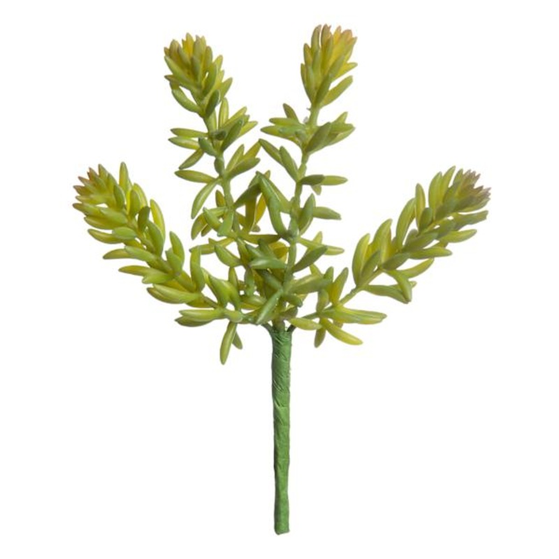Green Sedum Pick, 7″
