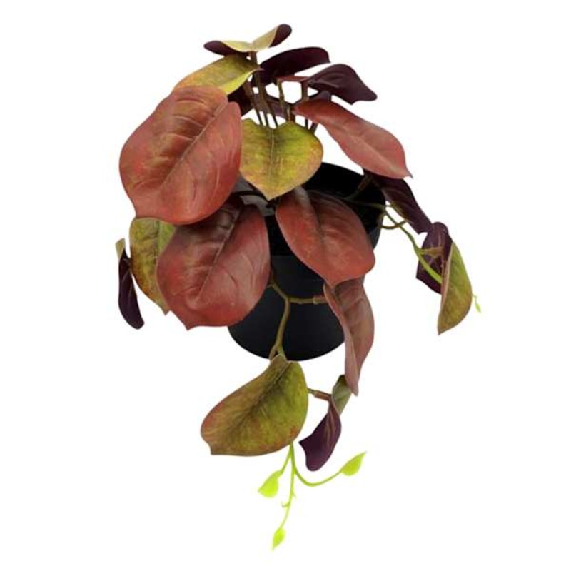 Greenery in Pot, 6″