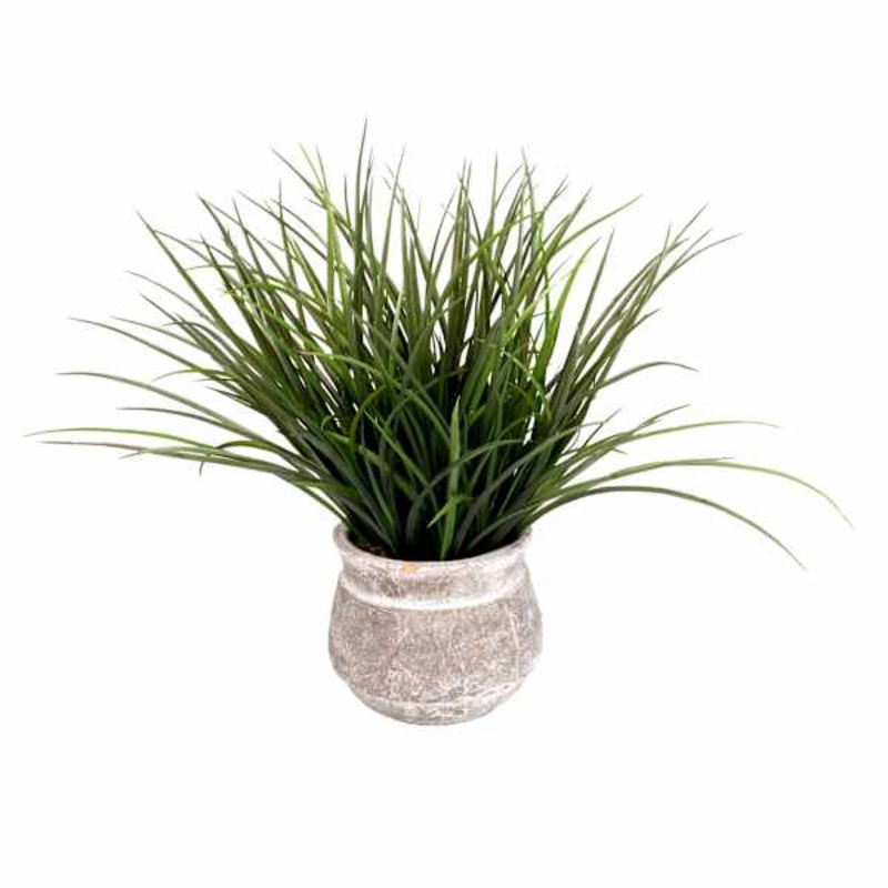 Greenery Plant with White Ceramic Planter, 18″