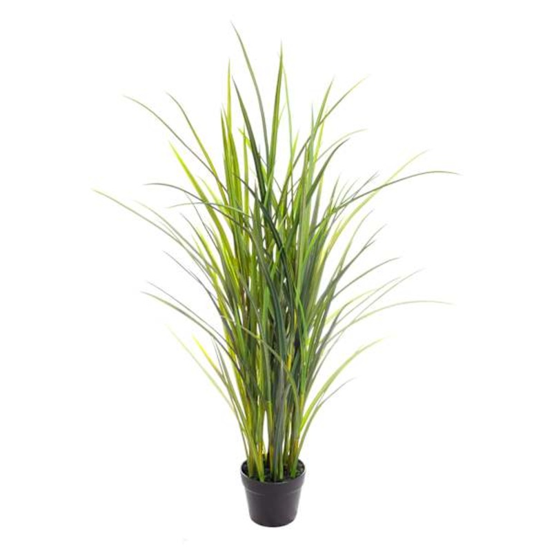 Potted Green Grass, 45″