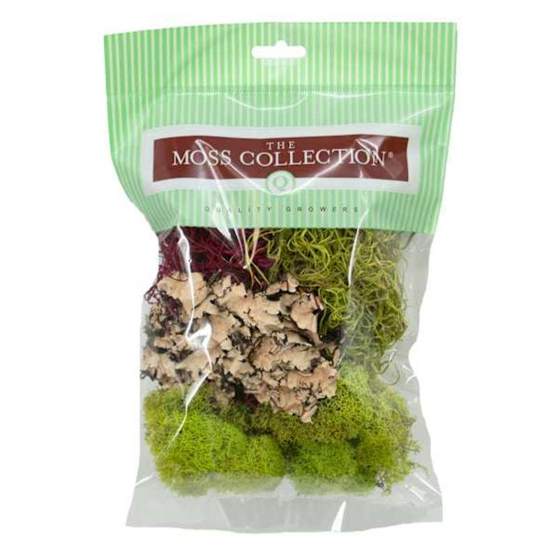 Preserved Sheet Moss Variety Pack