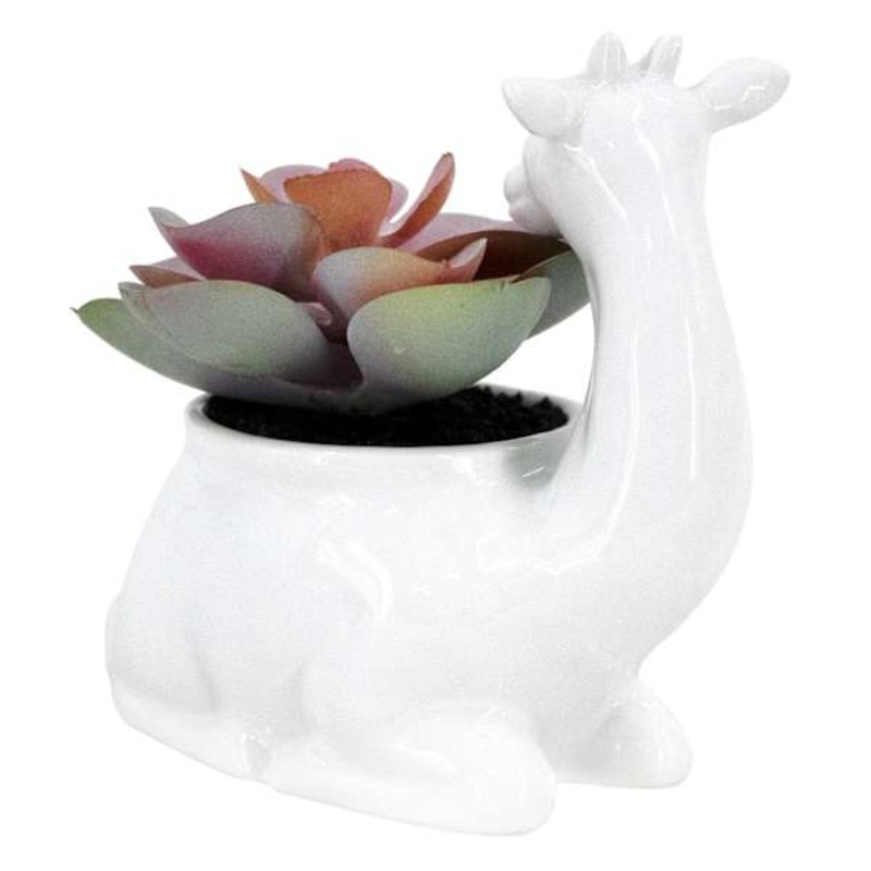 Succulent in Giraffe Pot, 4.5″