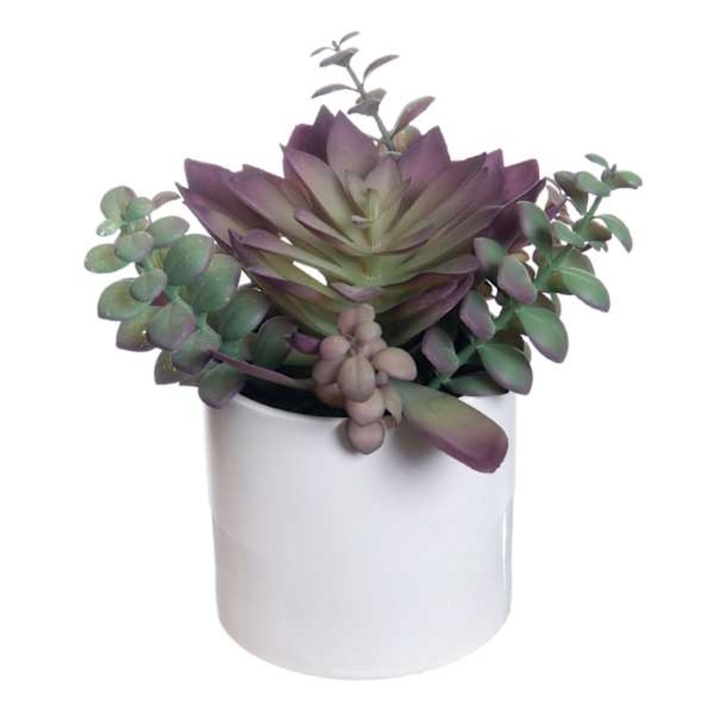 Succulent Mix with White Planter, 9″