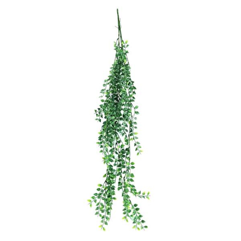 Tea Leaf Hanging Bush, 35″