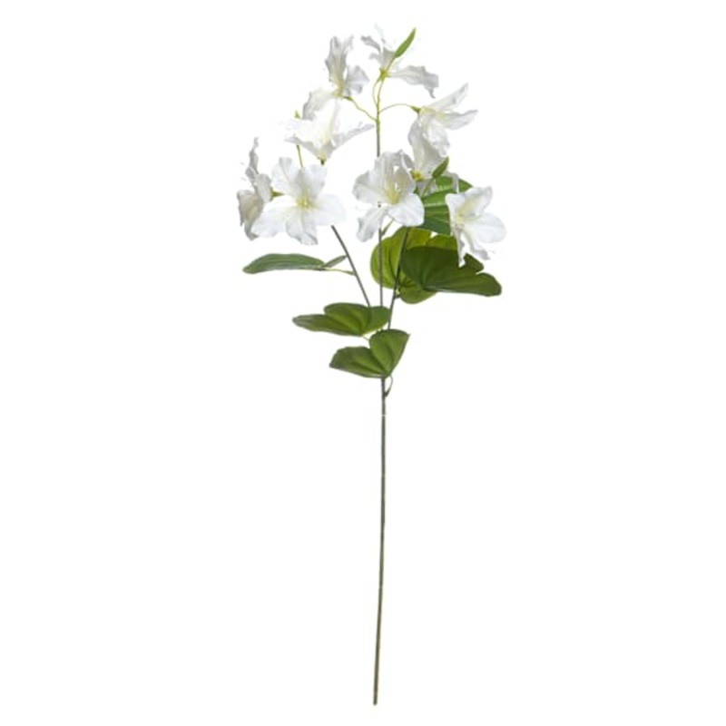 White Bauhunia Spray, 29″