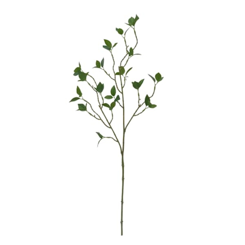Willow Crossley Watercress Leaves Stem, 30″