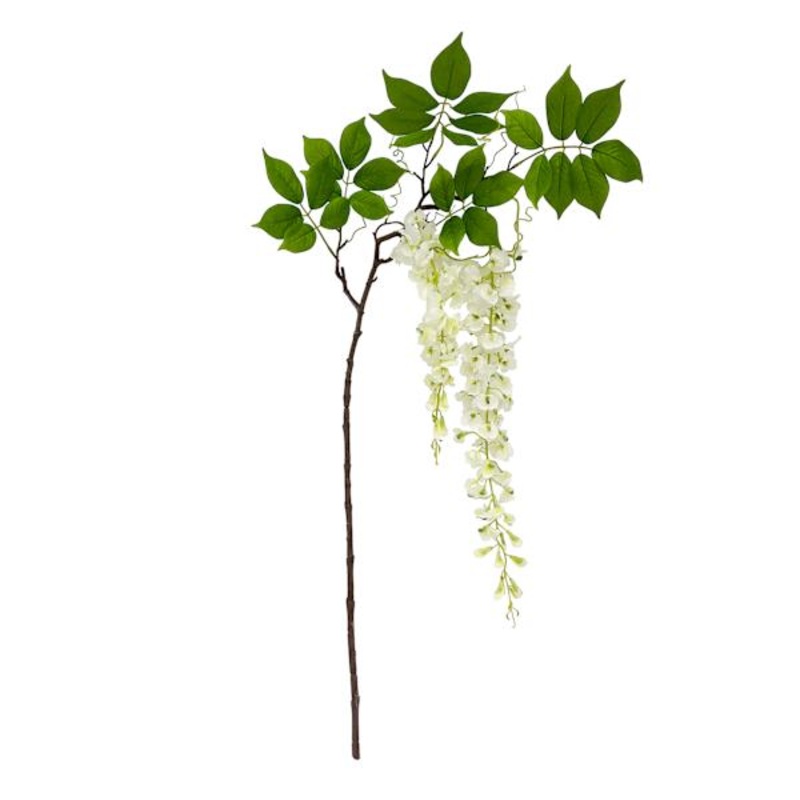 Willow Crossley White Pea Blossom Branch, 54″