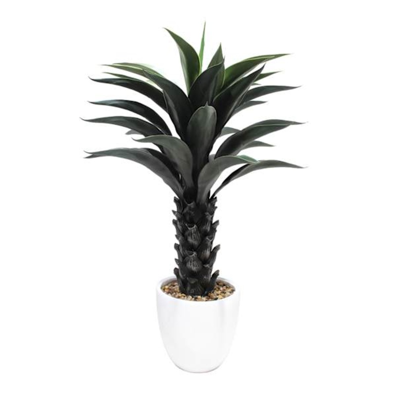 Aloe Plant in Cement Pot, 39″