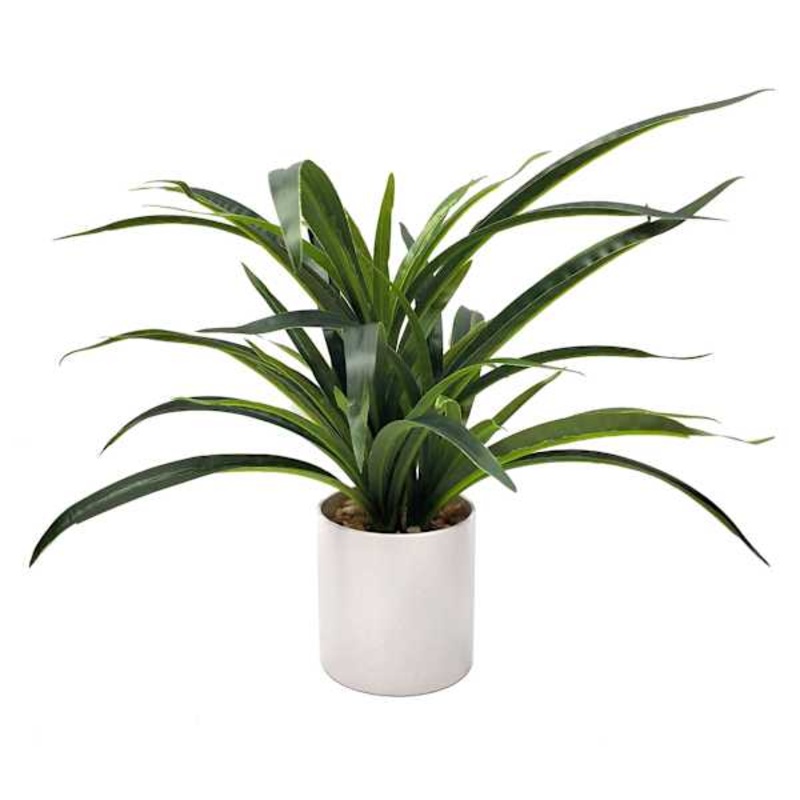Grass Plant with White Planter, 14″