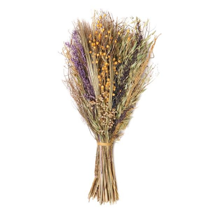 Honeybloom Dried Botanical Bunch, 16″