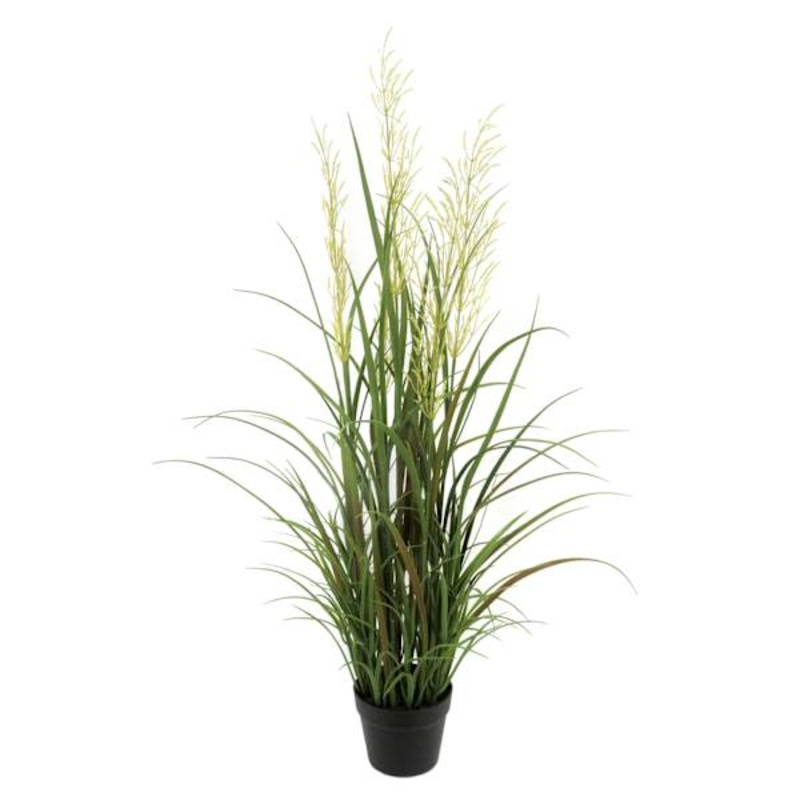 Potted Pampas Grass Bush, 45″