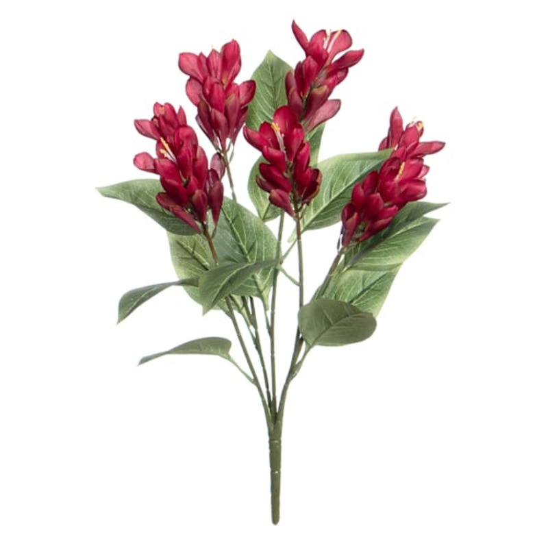 Red Ginger Flower Bush, 22″