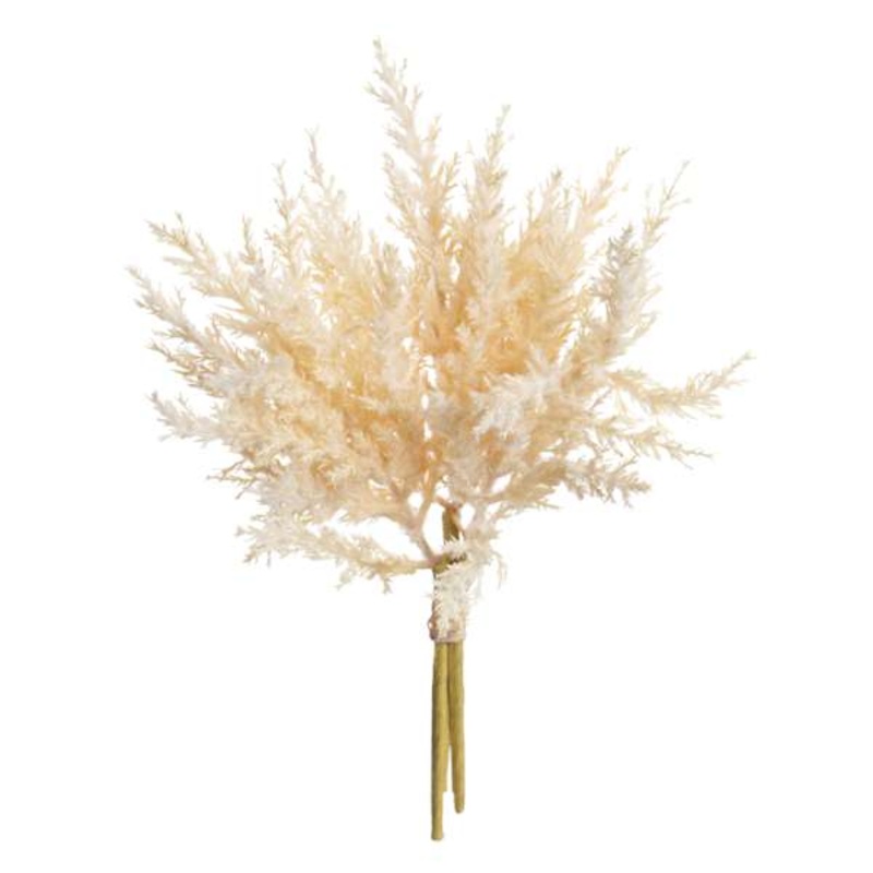 White Pampas Grass Bundle, 14″