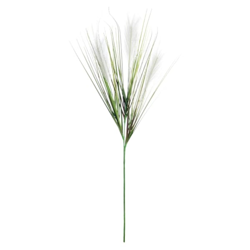 White Plume & Onion Grass Stem, 38″