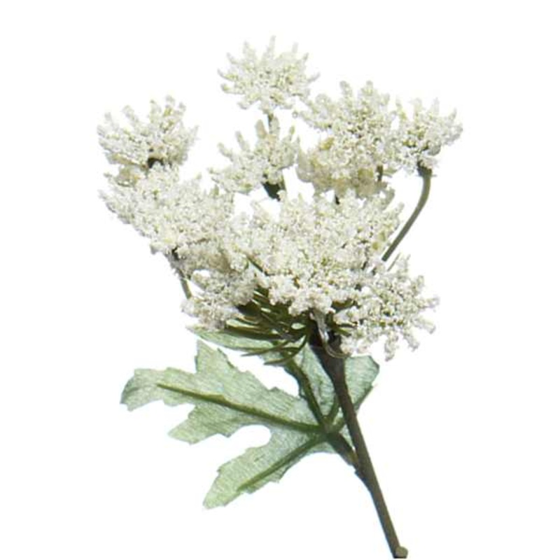 Willow Crossley White Queen Anne’s Lace Pick, 11.5″