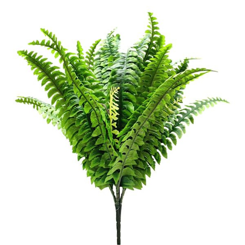 Boston Fern Bush, 30″