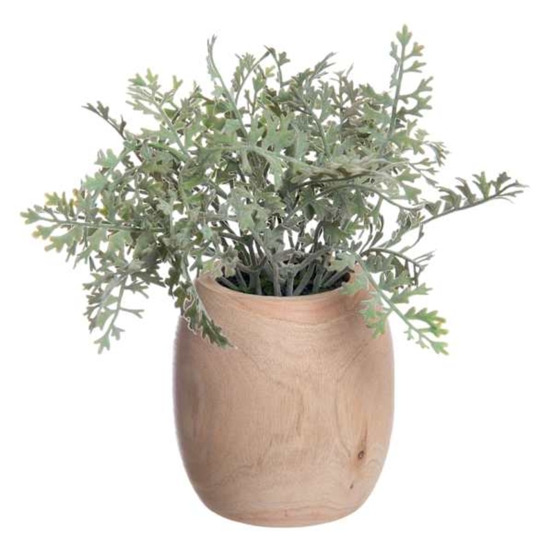 Dusty Miller Faux Plant in Wood Pot, 11″