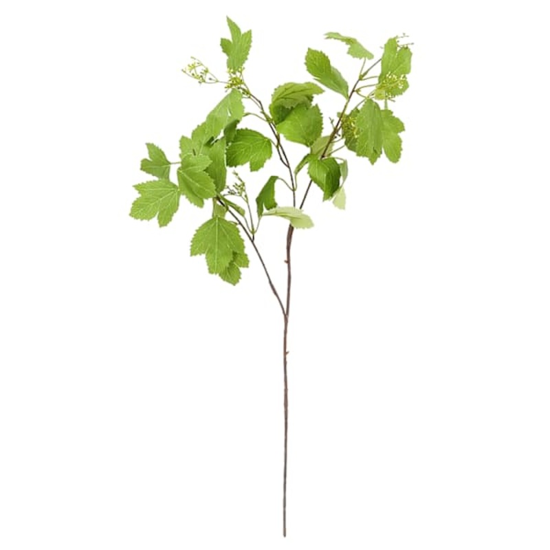 Flowering Stem, 30″